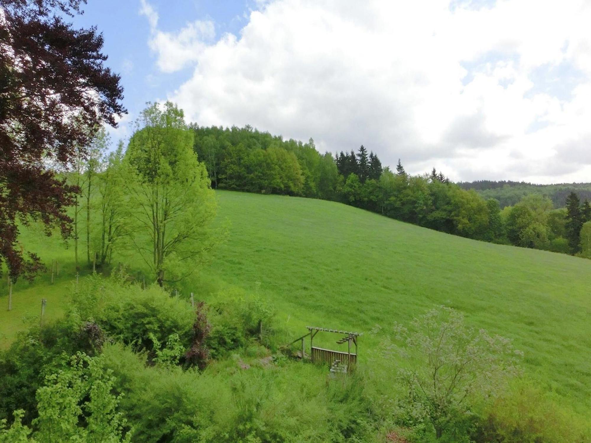 Alluring Villa In Grunhainichen Borstendorf With Garden Leubsdorf Esterno foto