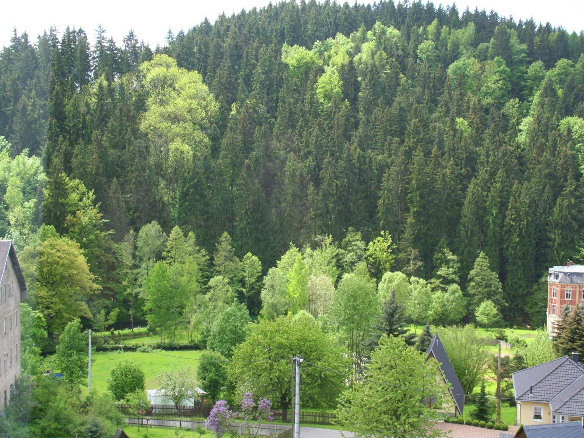 Alluring Villa In Grunhainichen Borstendorf With Garden Leubsdorf Esterno foto
