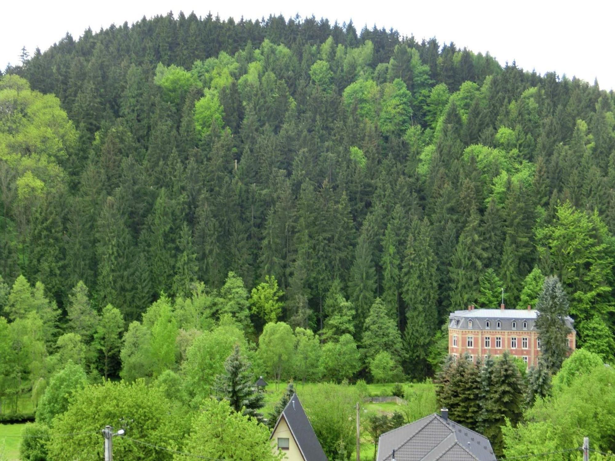Alluring Villa In Grunhainichen Borstendorf With Garden Leubsdorf Esterno foto