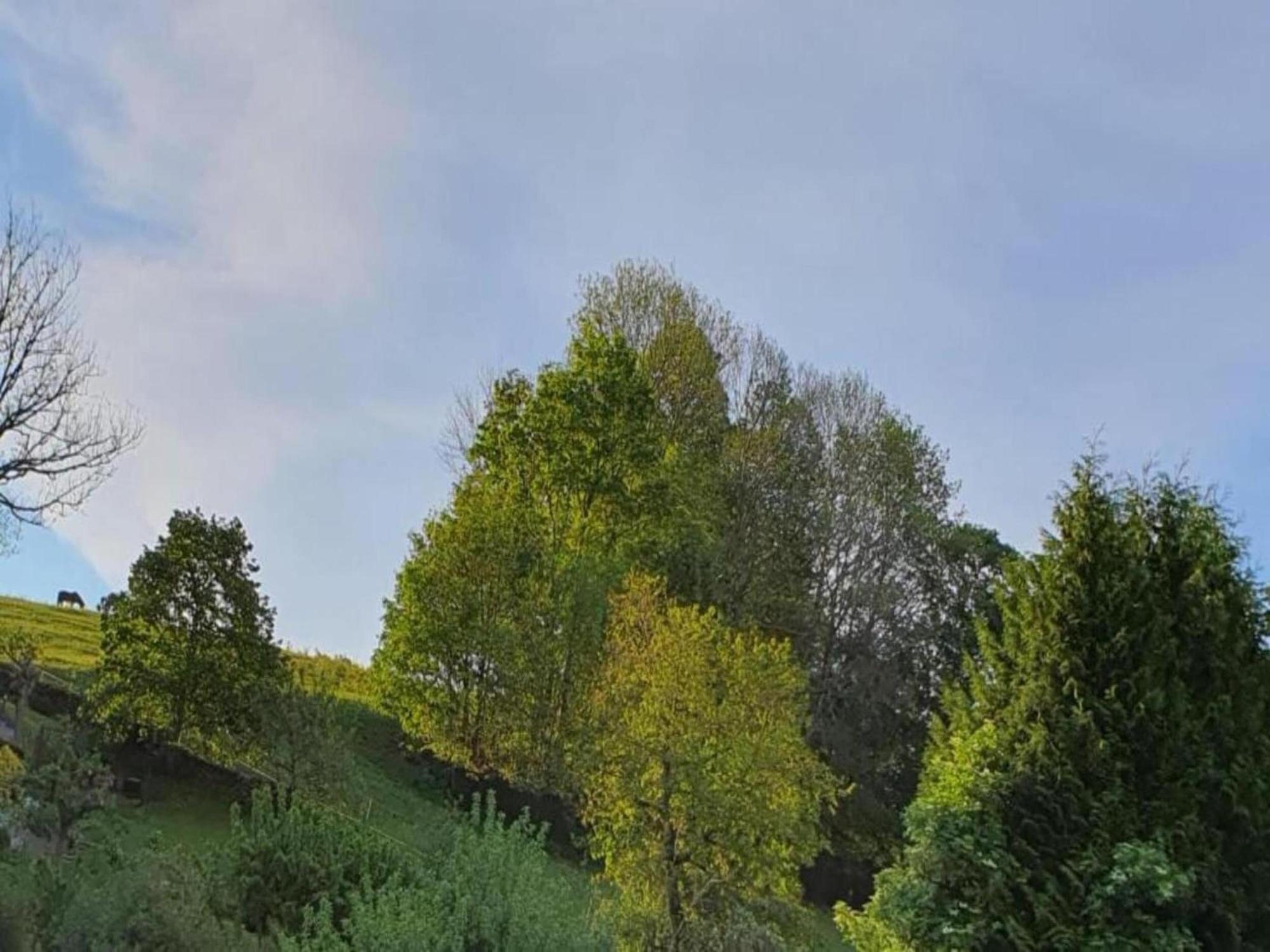 Alluring Villa In Grunhainichen Borstendorf With Garden Leubsdorf Esterno foto