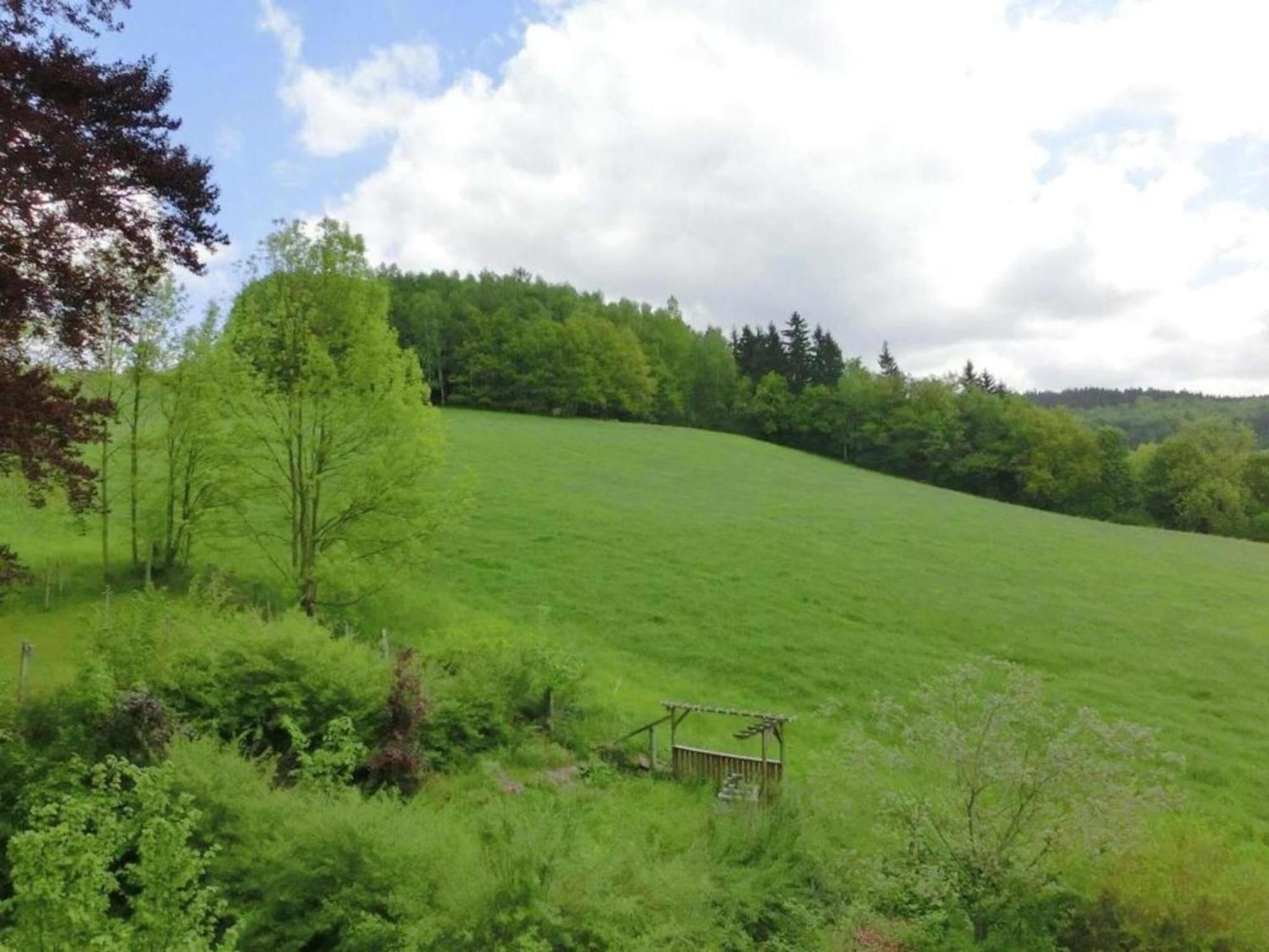 Alluring Villa In Grunhainichen Borstendorf With Garden Leubsdorf Esterno foto