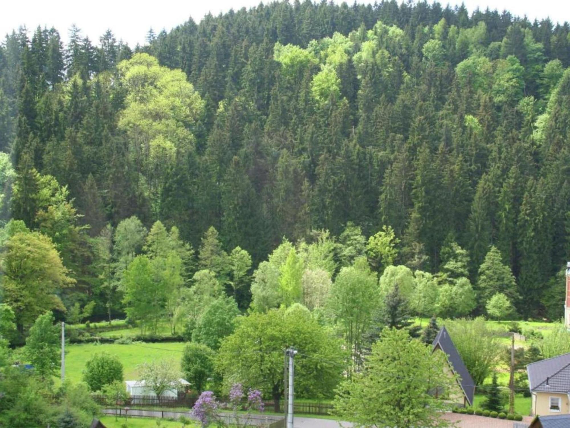 Alluring Villa In Grunhainichen Borstendorf With Garden Leubsdorf Esterno foto